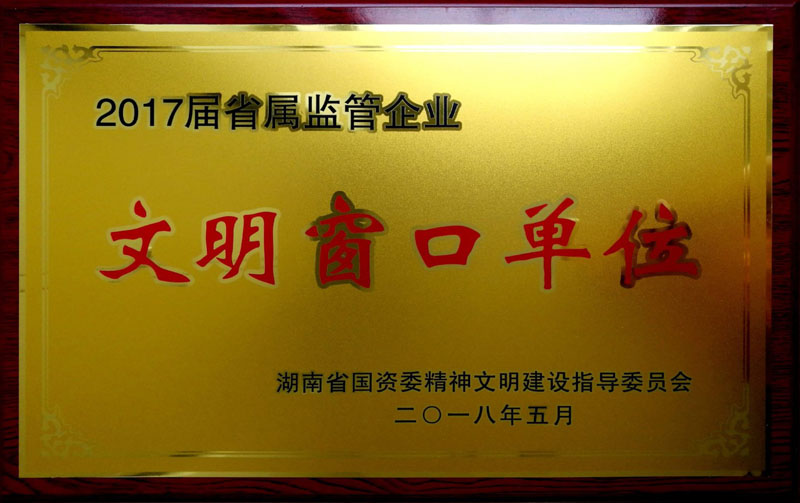 乐动网页版-乐动(中国)官方
发展集团养老产业有限公司荣获“省属监管企业文明窗口单位”称号