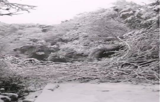 战暴雪、保供电！乐动网页版-乐动(中国)官方
发展鸟儿巢公司应对极端天气紧急抢修失电故障